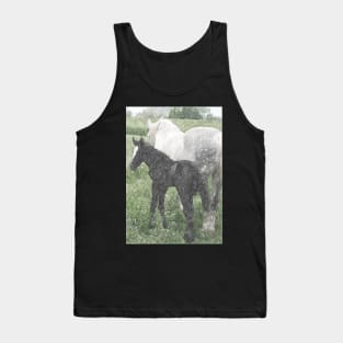 Percheron Colt And Mare In Pasture Digital Art Tank Top